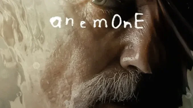 anemone