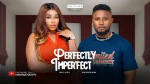 Read more about the article Perfectly Imperfect (2024) – Nollywood Movie