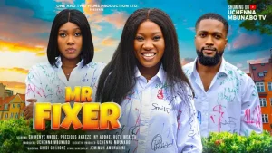 Read more about the article Mr Fixer (2024) – Nollywood Movie