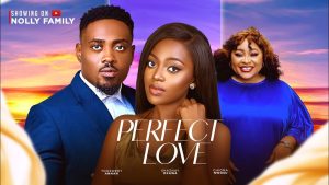 Read more about the article Perfect Love (2024) – Nollywood Movie