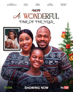 Read more about the article Not a Wonderful Year (2024) – Nollywood Movie