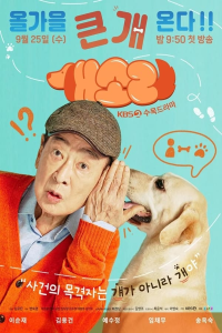 Read more about the article Dog Knows Everything Season 1 (Complete) | Korean Drama