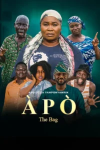 Read more about the article Apo (The Bag) Season 1 (Complete) | Nollywood TV Series