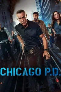 Read more about the article Chicago PD – Season 11 (Complete) | TV Series