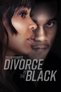 Read more about the article Tyler Perry’s Divorce in the Black (2024)