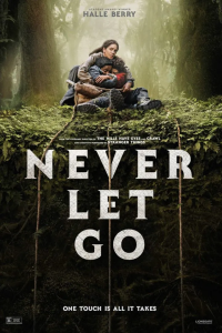 Read more about the article Never Let Go (2024)