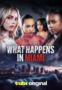 Read more about the article What Happens in Miami (2024)